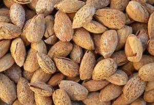 Supplier Kacang Almond Jakarta